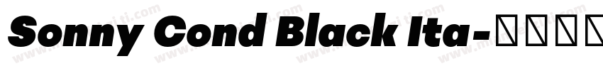 Sonny Cond Black Ita字体转换